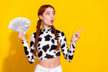 Photo of impressed funky woman wear cow skin print top rising dollars fan looking showing empty...