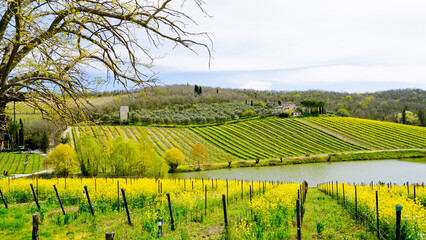 Obraz premium Panorama primaverile delle colline della val d'orcia,Radda in Chianti,Siena,Toscana,Italia 