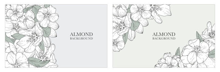 A vector collection of exquisite backgrounds, in a botanical style featuring blooming almond and nuts. Luxurious hand-drawn flowers. Suitable for wedding and event decorations, cards, prints, banners