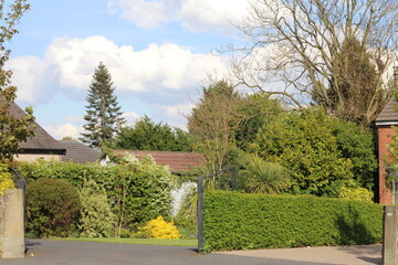 Houses with beautiful gardens surrounded by trees 