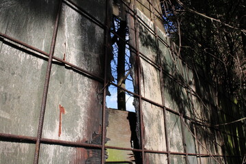 Tree tucked away through a broken fence
