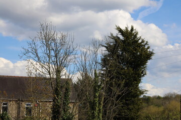 Houses with beautiful gardens surrounded by trees 