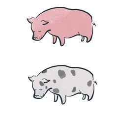 Pig(different color),JPG