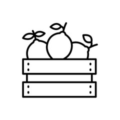 Lemon fruit outline icons, minimalist vector illustration ,simple transparent graphic element .Isolated on white background