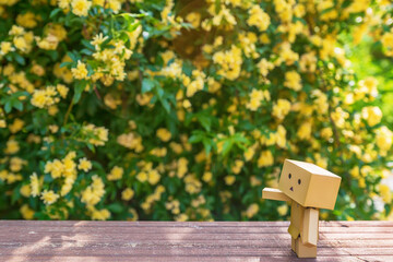 a woody rose with yellow petals in full bloom in the garden