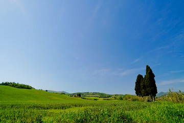 Panorama delle colline di Lajatico, terra natale di Andrea Bocelli presidente del Teatro del...