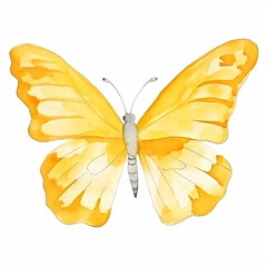 A beautiful watercolor painting of a yellow butterfly