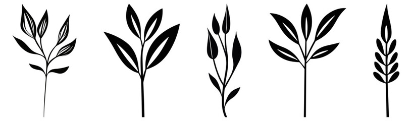 Set of botanical hand drawn herb, leaves. Vector illustration