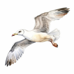A watercolor painting of a seagull in flight. The seagull is facing the left of the viewer. The painting is realistic and captures the beauty of the seagull's flight.