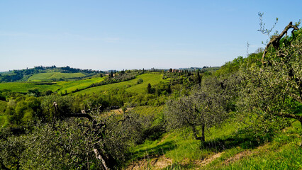 Fototapeta na wymiar Panorama delle colline e delle balze vicino al borgo medievale fortificato di Certaldo.Provincia di Firenze,Toscna,Italia