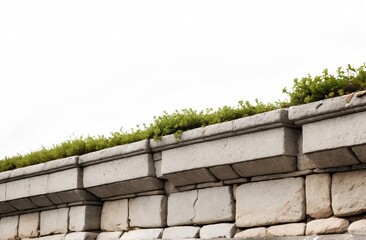 a green roof on a building