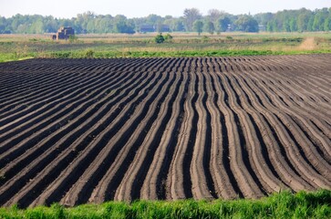 A close-up of furrows in a freshly plowed field in spring. 