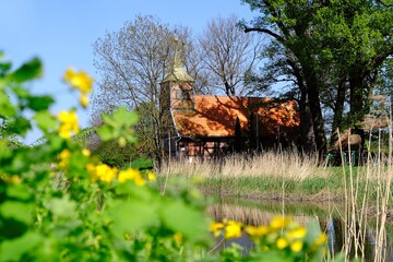 Historical half-timbered church by the river in spring scenery with blooming yellow flowers on...