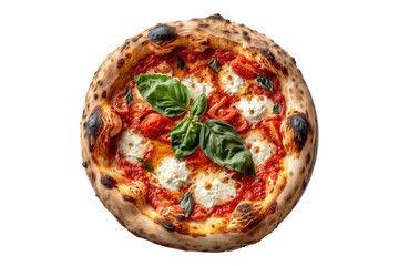 Bufala Margherita Pizza isolated on transparent background