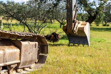 Balance between nature and industry: Excavator chain in the pasture.