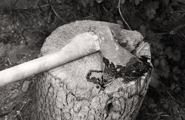 A bloody ax lies on a stump