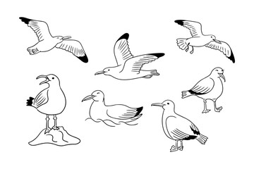 Summer set of cute doodle seagulls isolated on white background. Collection of sketchy drawing of sea birds flying, standing and on water wave. Monochrome black outline stickers
