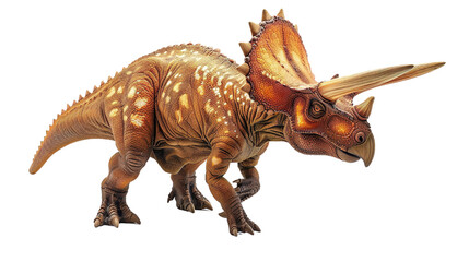 Triceratops isolated on white background