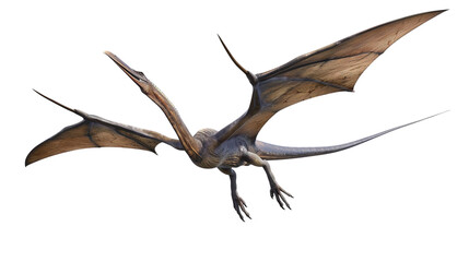 Fototapeta premium pterodactyls isolated on white background