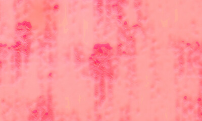 Soft and rough textured salmon abstract background.