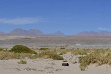 Atacama no horizonte
