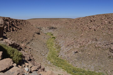Vegetação no rio no vale