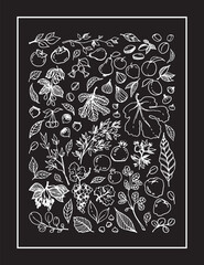 set illustration of various Garden Fruits, leaves, tree branches on black