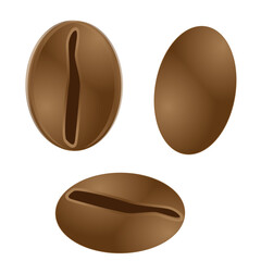 3D Realistic Coffee Beans Illustration