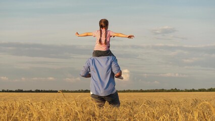 Little girl sitting on father shoulders flying over sunset dry wheat field enjoy freedom back view. Happy male parent running with daughter playing flight fantasy imagination harvest cereal plantation