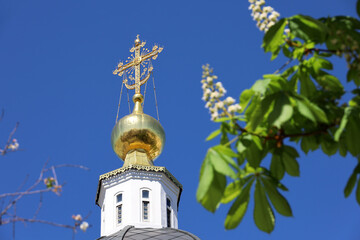 Golden dome of the Orthodox Church with a cross and flowering chestnuts against the blue sky....