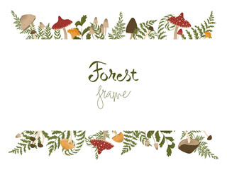 Mushrooms horisontal frame. Autumn illustration with forest mushrooms and fern leaves. Vector banner for web design, print, advertising, packaging. White background.
