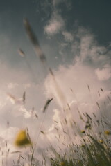 Frühlingsstimmung in Tirol