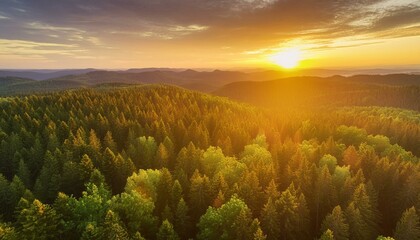 Nature's Canvas: Vibrant Sunset Casting a Glowing Light Over the Boundless Forest. Generative AI.