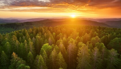 Drone's Eye View: Capturing the Spectacular Sunset Over the Endless Forest Canopy. Generative AI