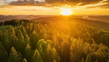 Drone's Eye View: Capturing the Spectacular Sunset Over the Endless Forest Canopy. Generative AI