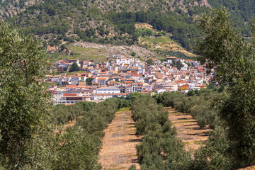 Orcera, view of the town between olives, Jaén province, Andalusia, Spain