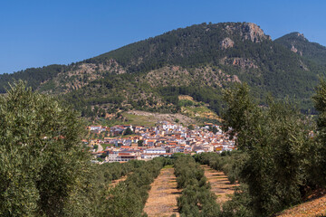 Orcera, view of the town between olives, Jaén province, Andalusia, Spain