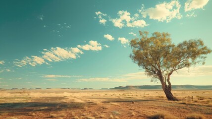 Fototapeta premium Lonely tree in vast desert under blue sky with fluffy clouds