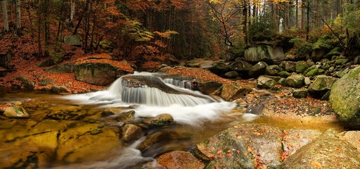 Fototapeta premium Panoramic photo of a beautiful warm autumn atmosphere by the cascade in the rocky bed of the Mumlava river in the middle of the forest in the heart of the Krkonoše near Harrachov