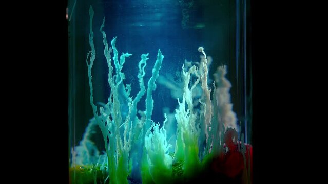 growth of silicate crystals time lapse