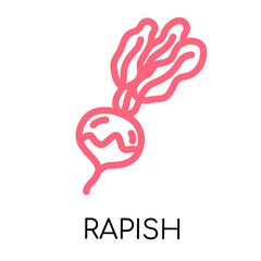 Obraz premium Rapish fat line vegetable icon, vector illustration