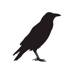 Obraz premium Raven black silhouette vector illustration isolated on white background Crow Flat Logo Icon Clipart