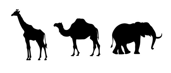 Vector giraffe elephant and camel illustration silhouette isolated on white african safari animals 