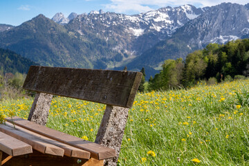 Beautiful mountain landscape in spring: In the foreground a bench surrounded by a flowering...