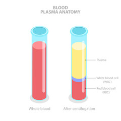 3D Isometric Flat  Illustration of Blood Plasma Anatomy, Labeled Anatomical Scheme