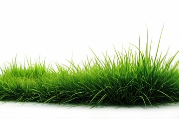 Vibrant Green Grass Ideal for Eco-Friendly and Nature-Themed Designs.