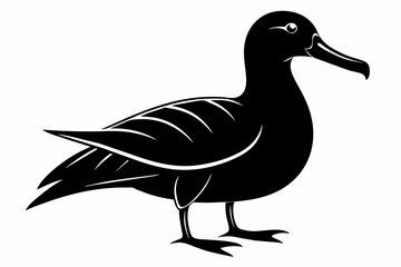 Albatross silhouette on white background, Vector illustration,icon,svg,characters,Holiday t shirt,Hand drawn trendy Vector illustration