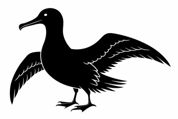 Albatross silhouette on white background, Vector illustration,icon,svg,characters,Holiday t shirt,Hand drawn trendy Vector illustration