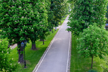 Landscape with old green trees and grey alley in Mogosoaia Park (Parcul Mogosoaia), a weekend...