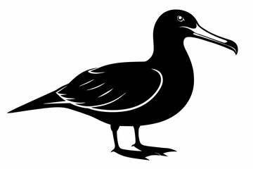 Albatross silhouette on white background, Vector illustration,icon,svg,characters,Holiday t shirt,Hand drawn trendy Vector illustration